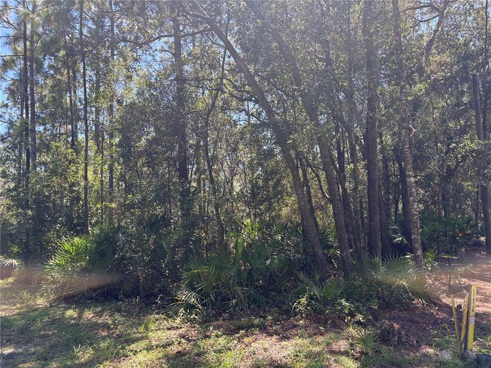 For Sale: $45,000 (1.02 acres)