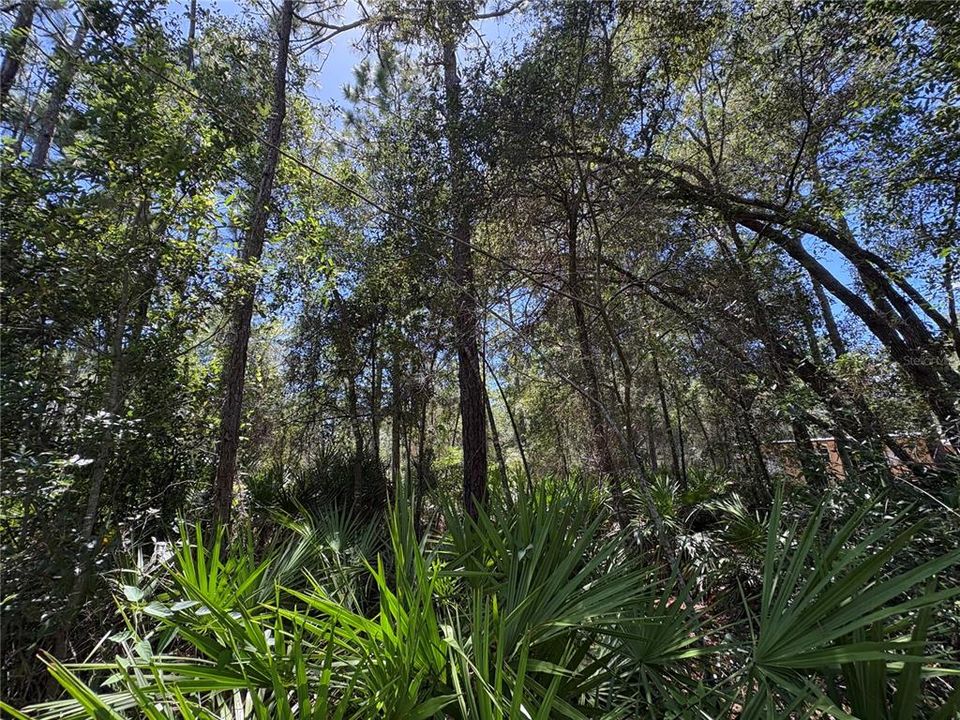 For Sale: $45,000 (1.02 acres)