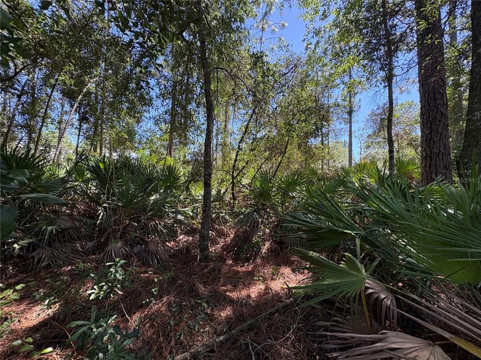 For Sale: $45,000 (1.02 acres)