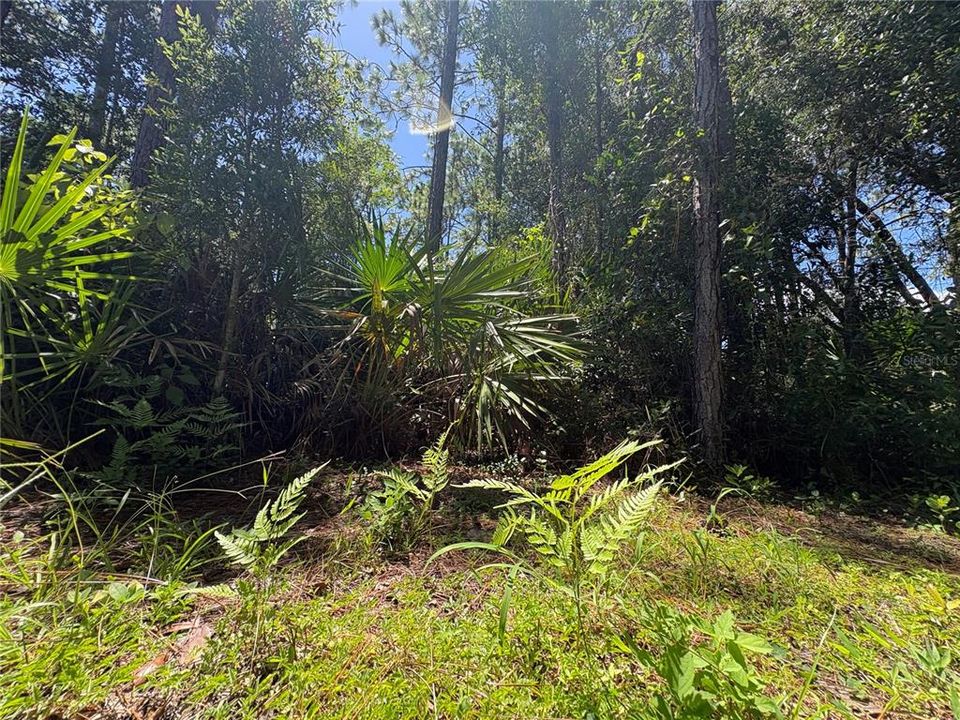 For Sale: $45,000 (1.02 acres)