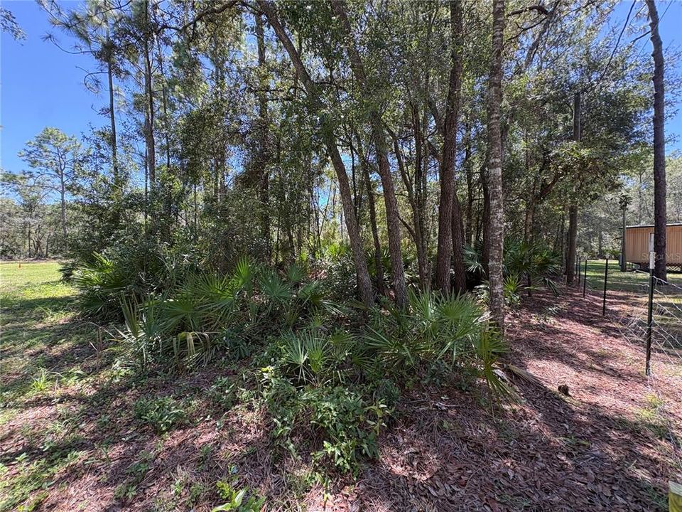 For Sale: $45,000 (1.02 acres)