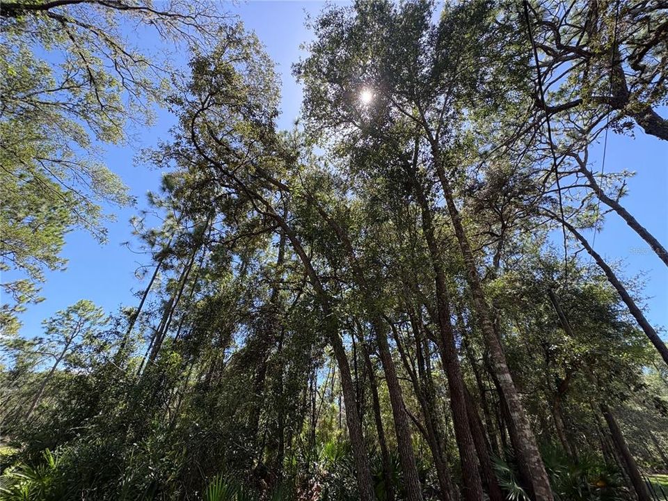 For Sale: $45,000 (1.02 acres)