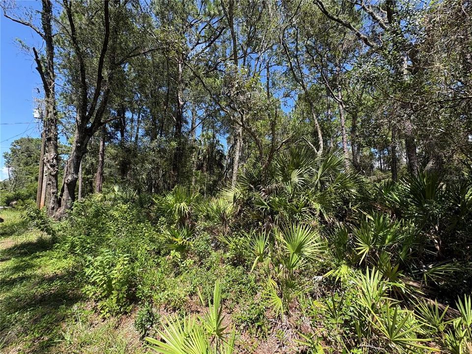 For Sale: $45,000 (1.02 acres)