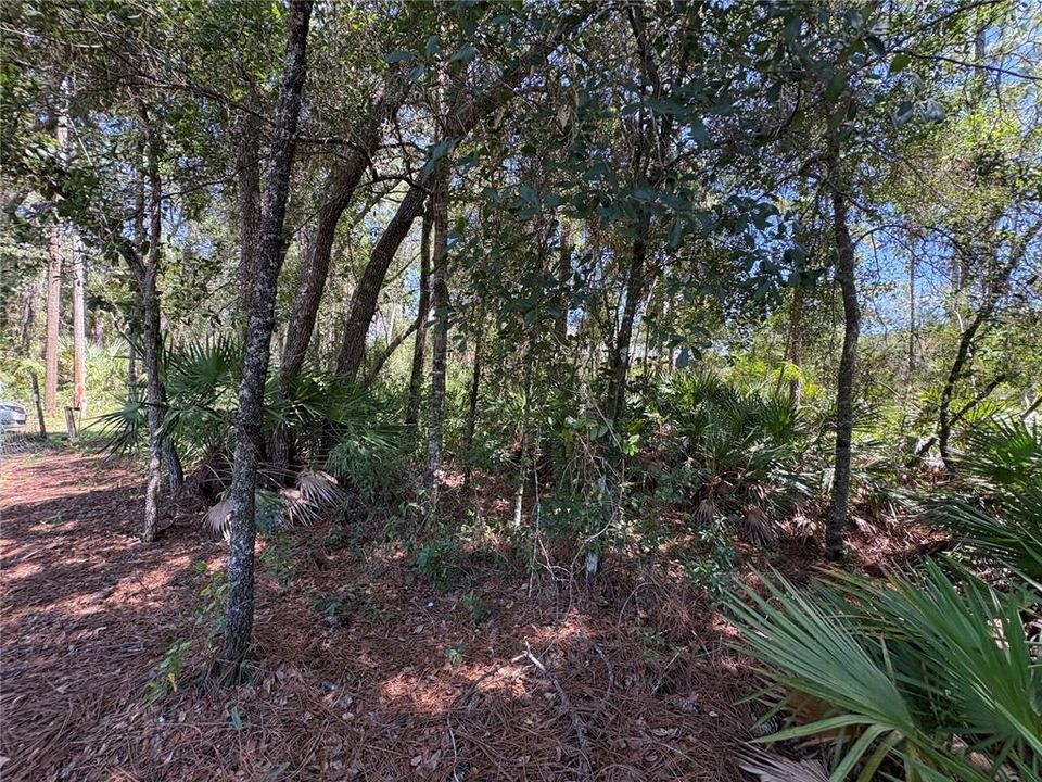 For Sale: $45,000 (1.02 acres)