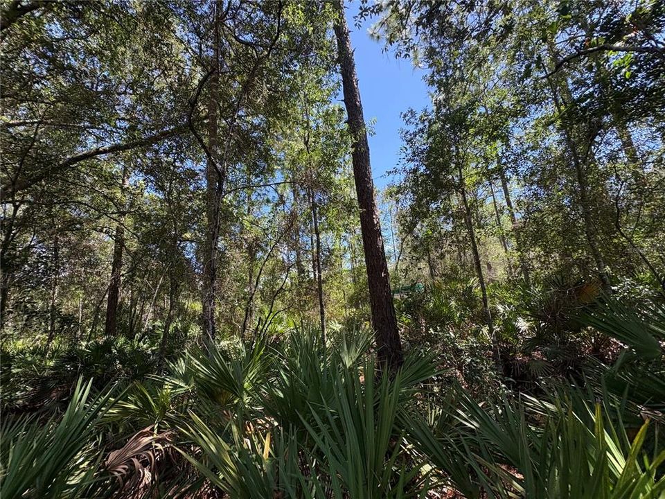 For Sale: $45,000 (1.02 acres)