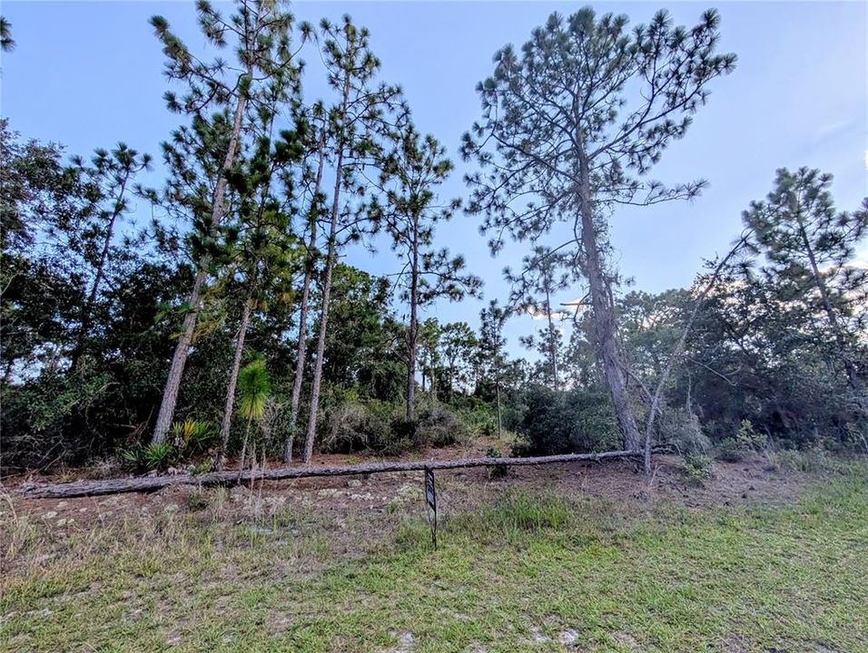 待售: $15,000 (0.50 acres)
