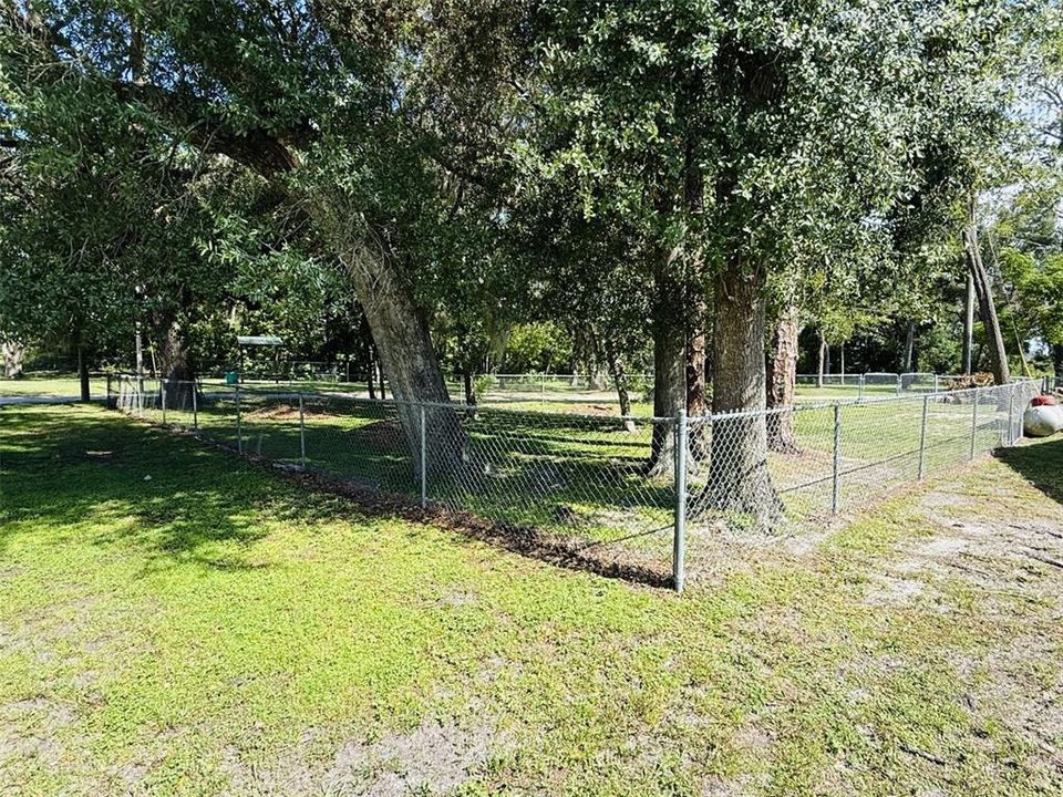 For Sale: $350,000 (3 beds, 1 baths, 1502 Square Feet)