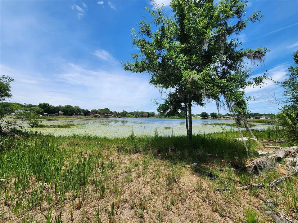 На продажу: $299,900 (1.00 acres)