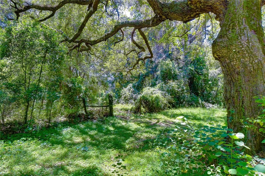 На продажу: $300,000 (5.00 acres)