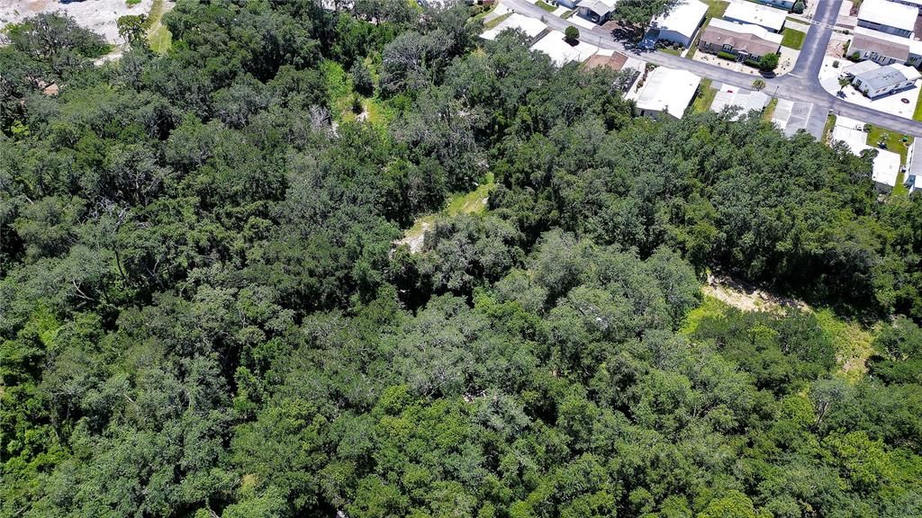 На продажу: $300,000 (5.00 acres)
