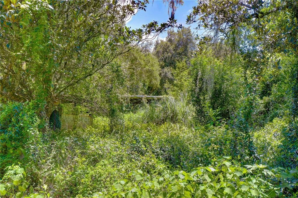 На продажу: $300,000 (5.00 acres)