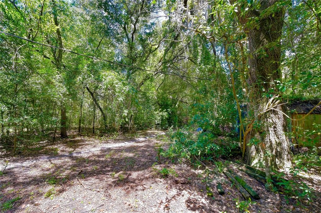 На продажу: $300,000 (5.00 acres)