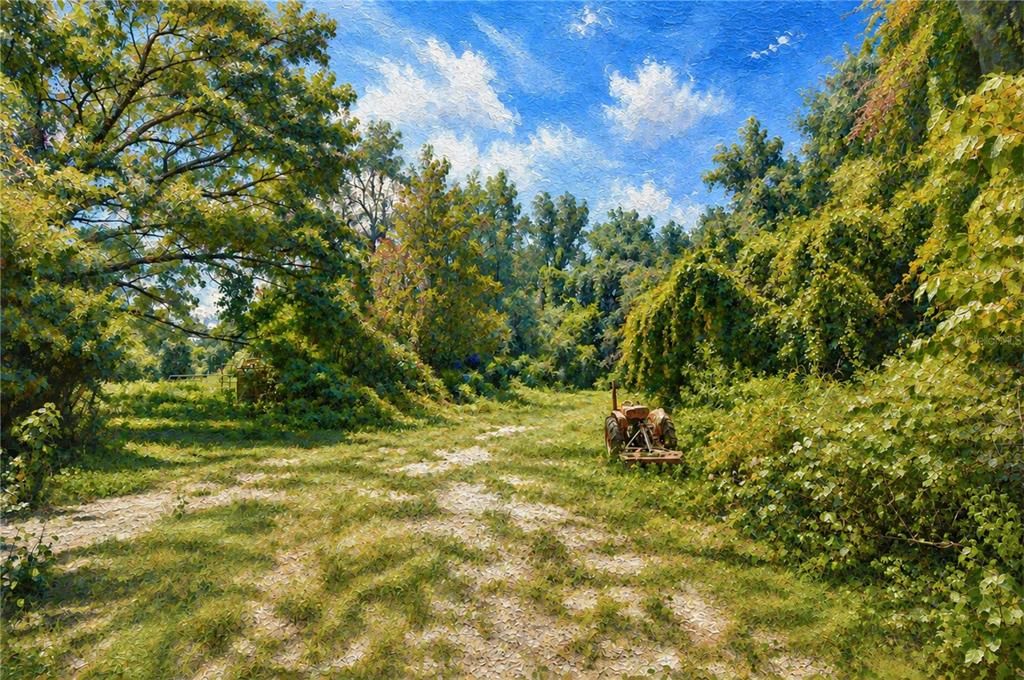 На продажу: $300,000 (5.00 acres)