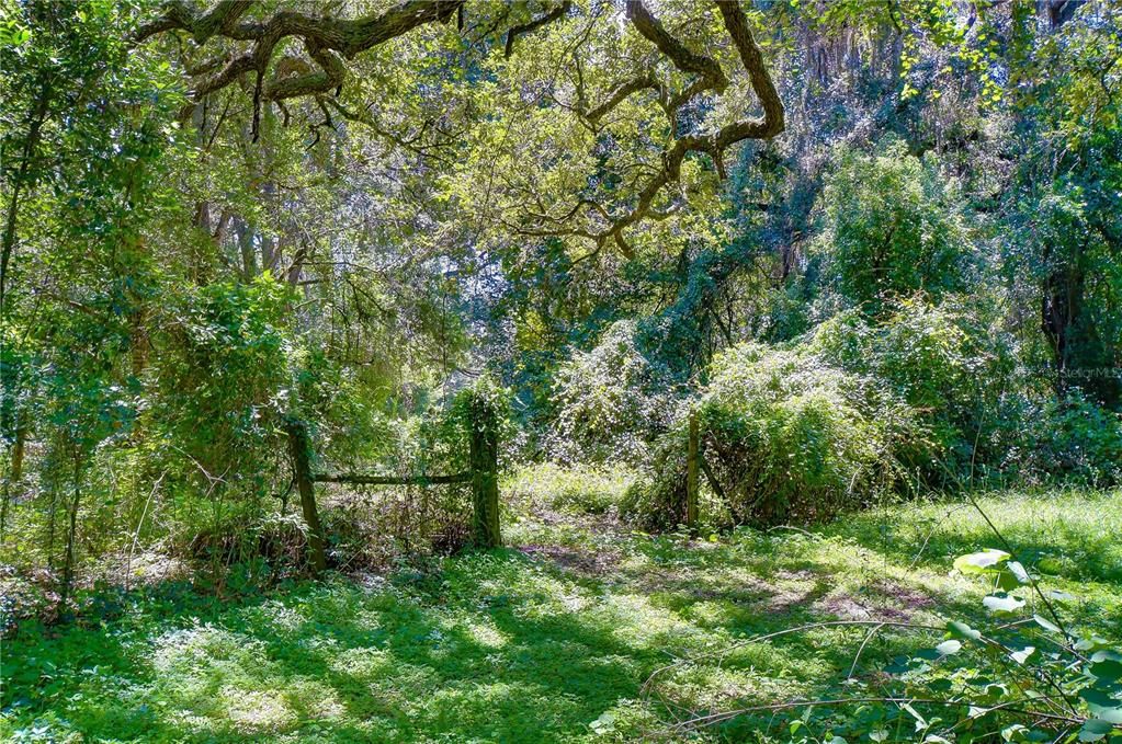 На продажу: $300,000 (5.00 acres)