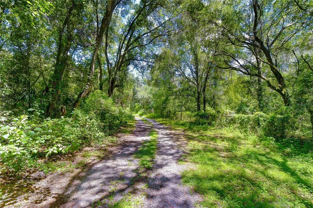 На продажу: $300,000 (5.00 acres)