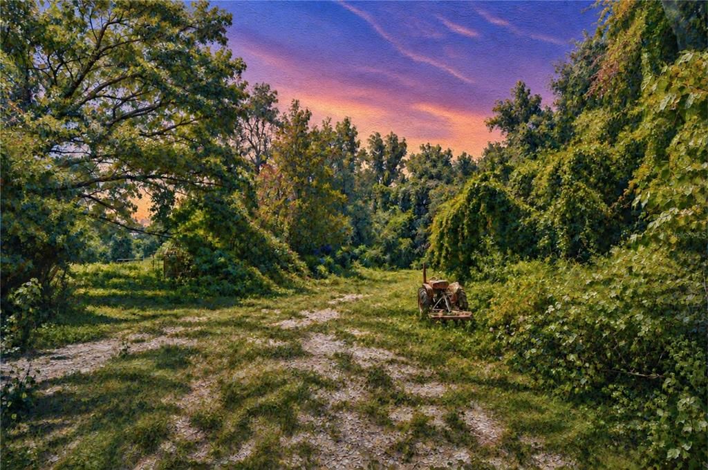 На продажу: $300,000 (5.00 acres)