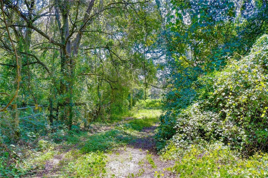 На продажу: $300,000 (5.00 acres)