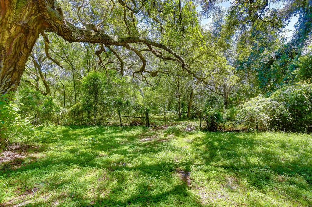 На продажу: $300,000 (5.00 acres)
