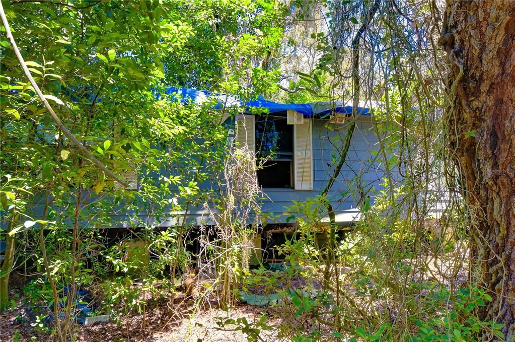 На продажу: $300,000 (5.00 acres)