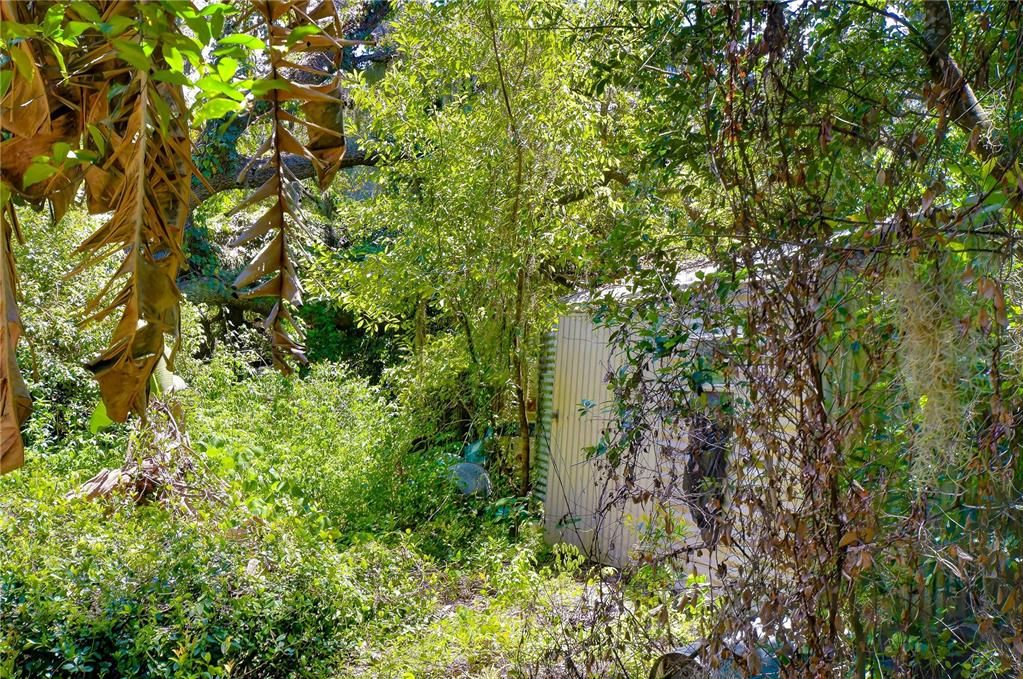 На продажу: $300,000 (5.00 acres)