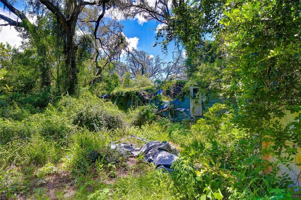 На продажу: $300,000 (5.00 acres)
