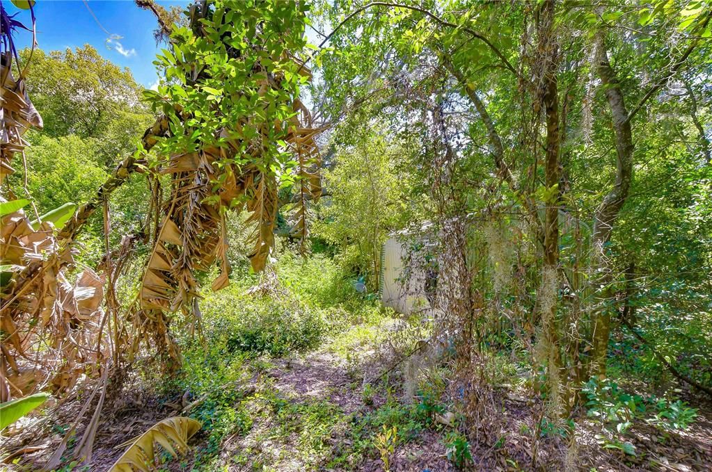 На продажу: $300,000 (5.00 acres)
