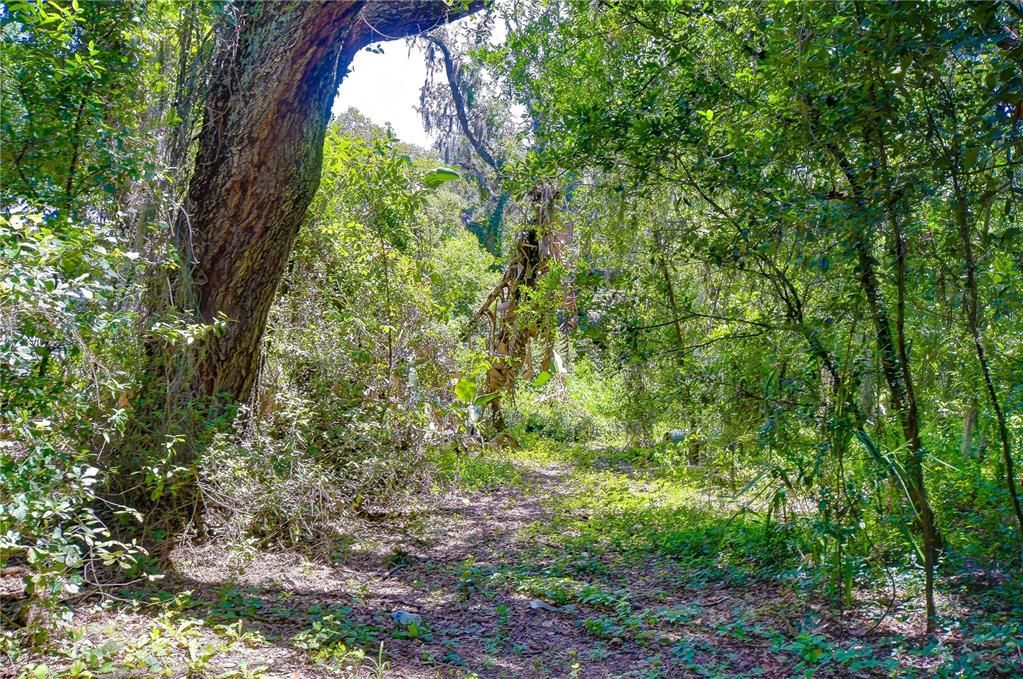 На продажу: $300,000 (5.00 acres)