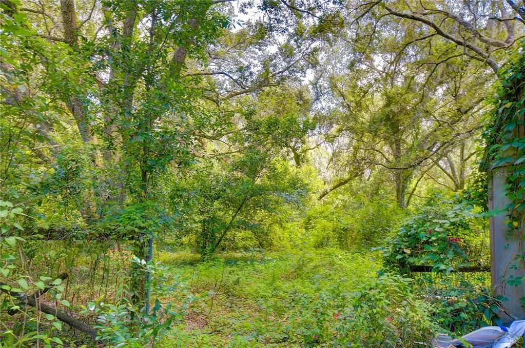 На продажу: $300,000 (5.00 acres)