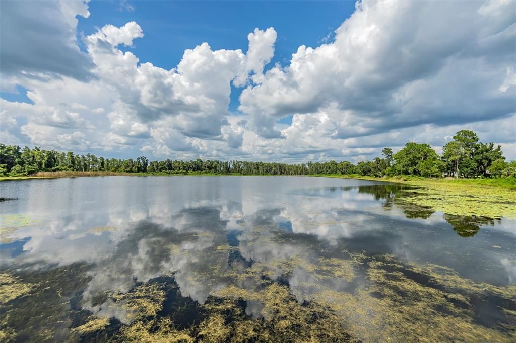 На продажу: $774,990 (5 спален, 3 ванн, 3531 Квадратных фут)