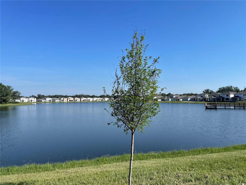 For Rent: $2,650 (4 beds, 2 baths, 1580 Square Feet)
