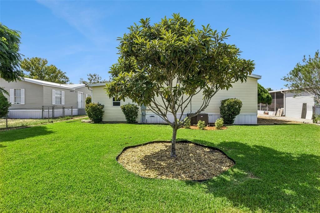 For Sale: $230,000 (3 beds, 2 baths, 1512 Square Feet)