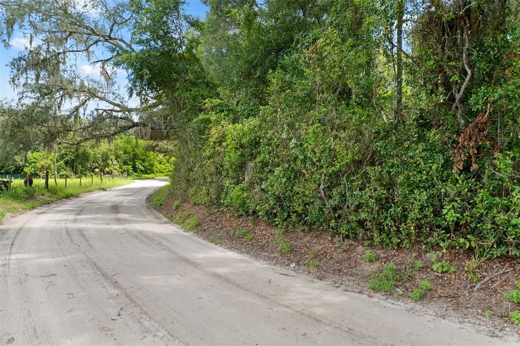 For Sale: $65,000 (1.10 acres)