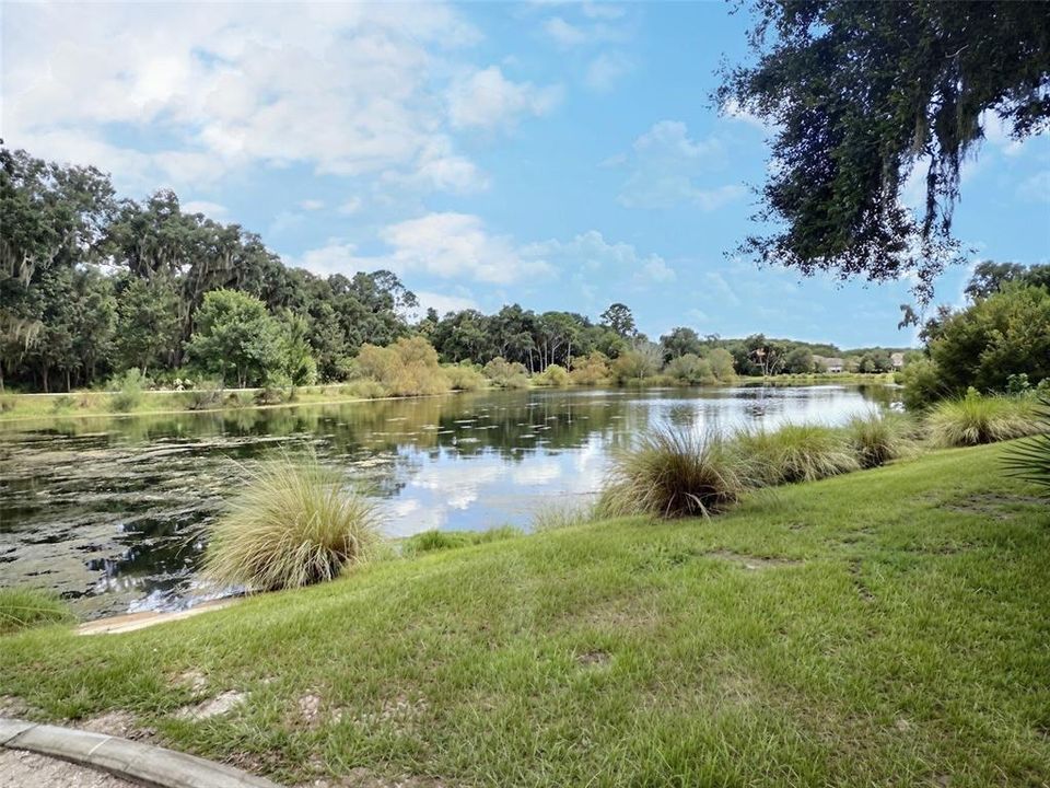 For Sale: $295,000 (0.93 acres)