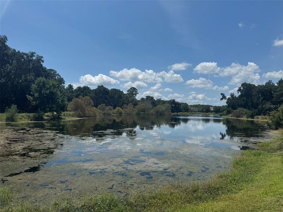 For Sale: $295,000 (0.93 acres)