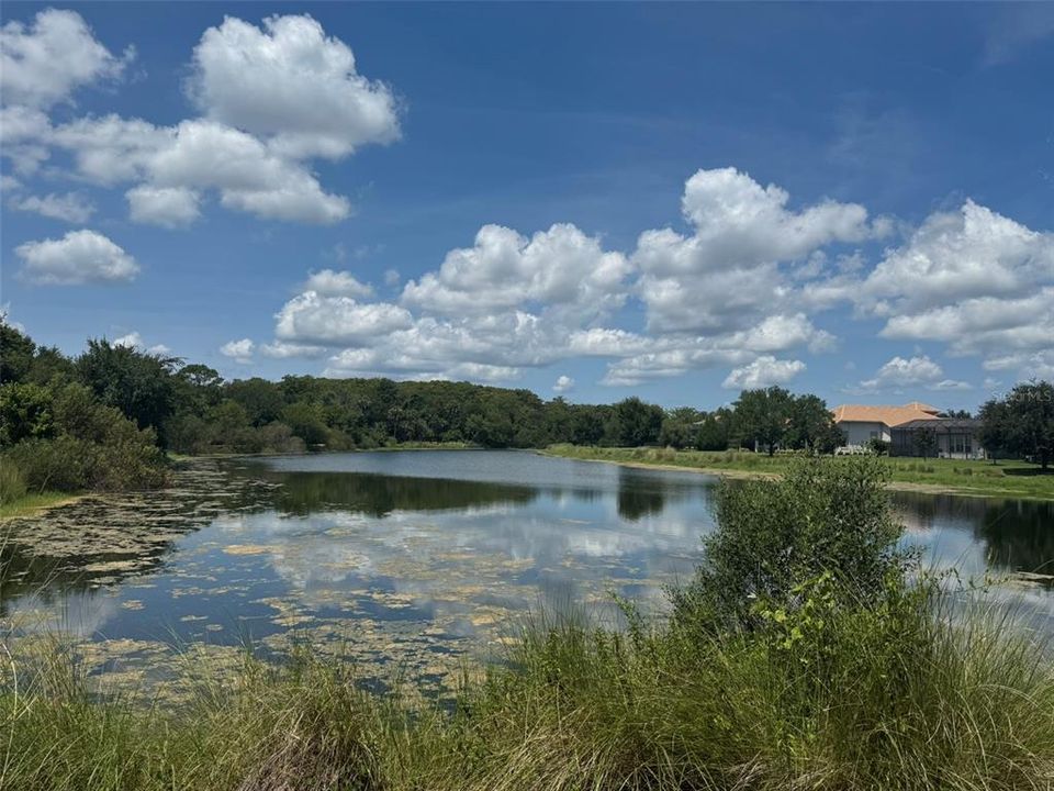 For Sale: $295,000 (0.93 acres)