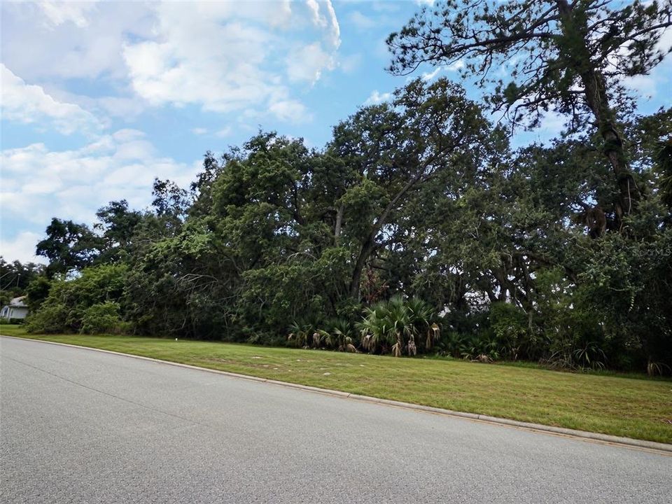For Sale: $295,000 (0.93 acres)
