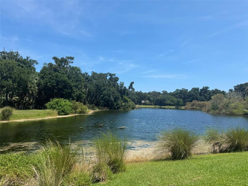 For Sale: $295,000 (0.93 acres)