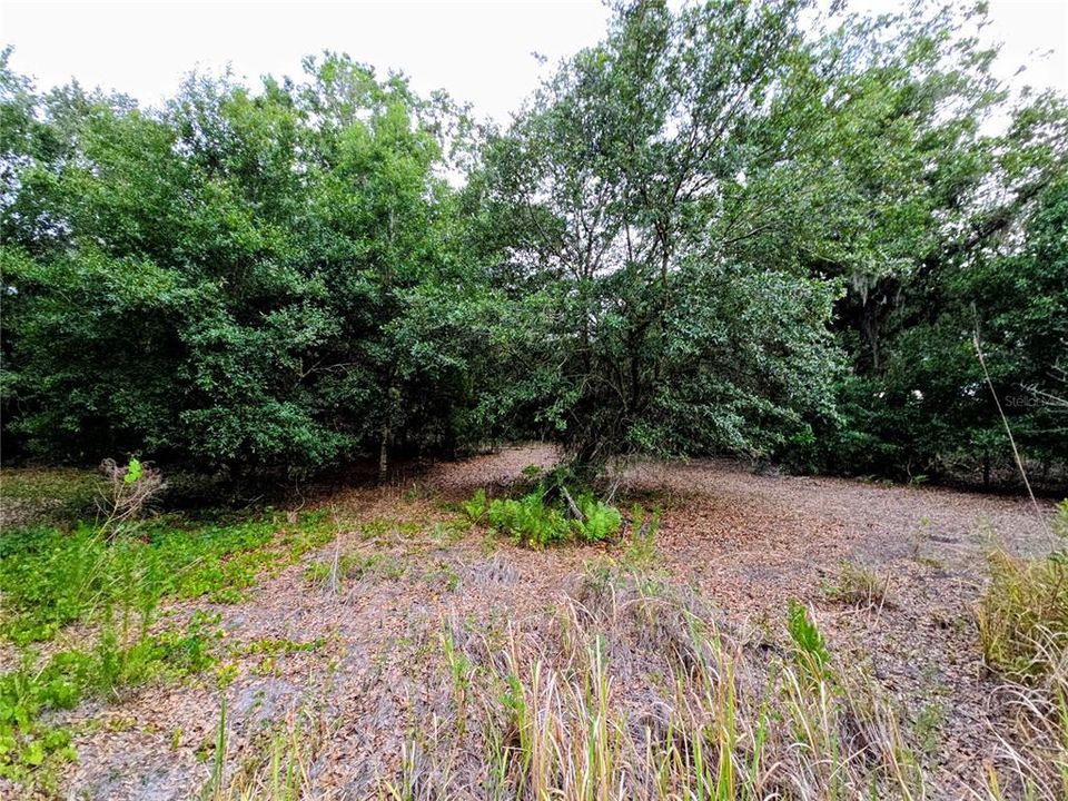 На продажу: $139,000 (5.00 acres)