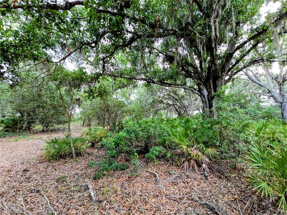На продажу: $139,000 (5.00 acres)