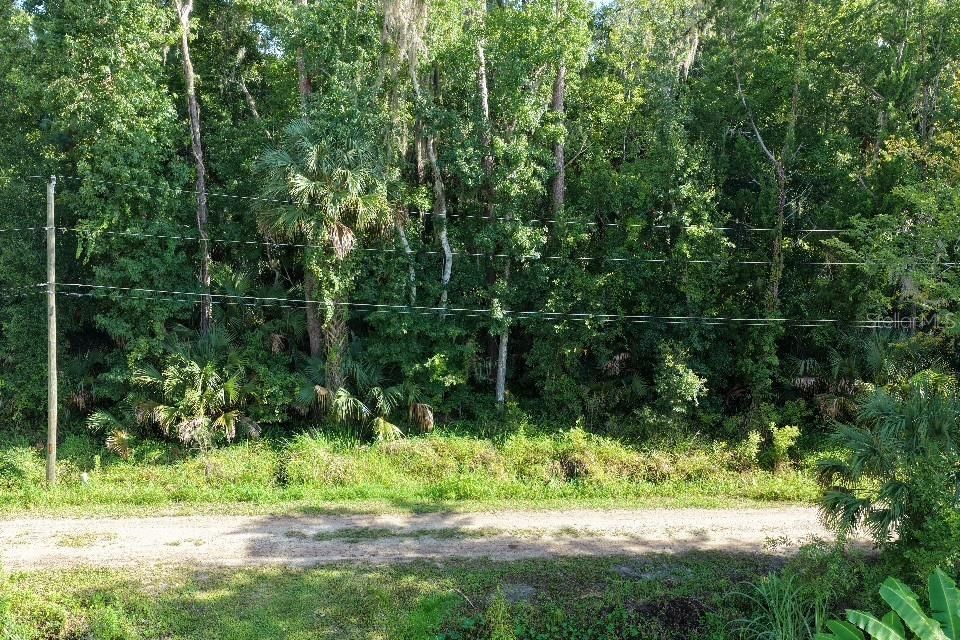 For Sale: $15,900 (0.17 acres)