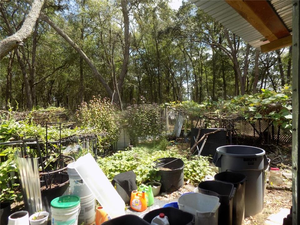 For Sale: $64,900 (1.25 acres)