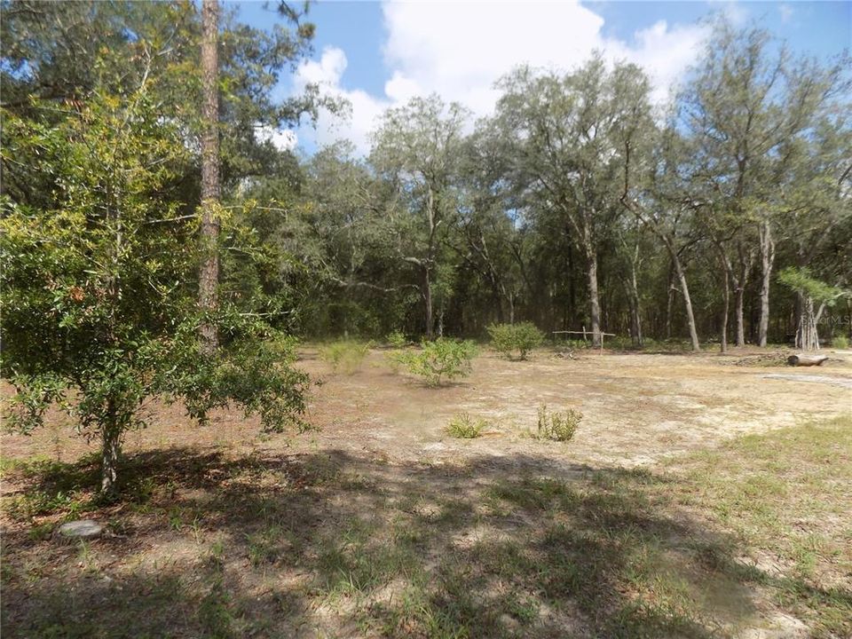 For Sale: $64,900 (1.25 acres)