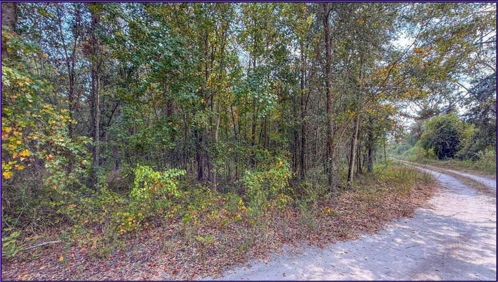 For Sale: $99,000 (11.51 acres)