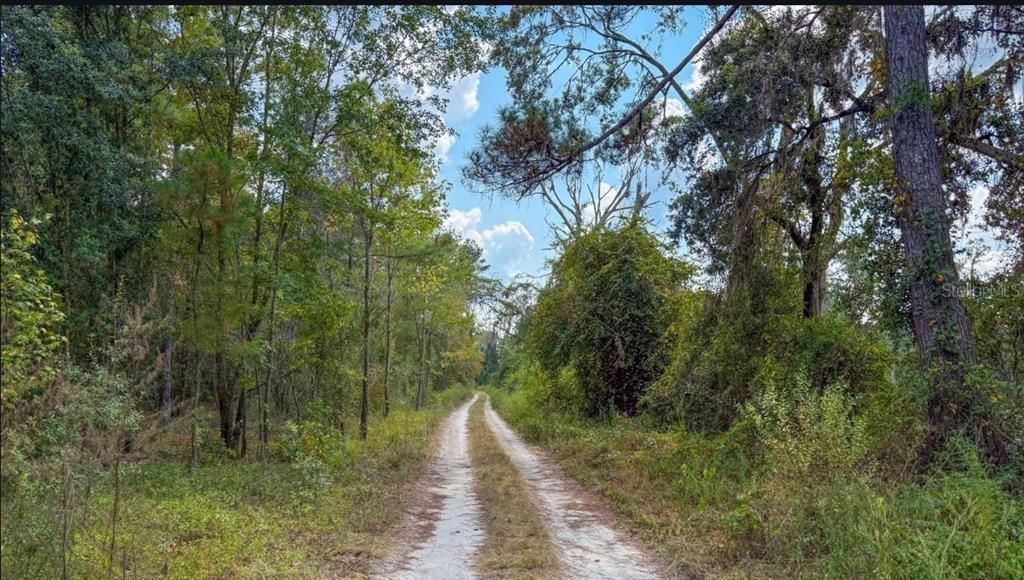 For Sale: $99,000 (11.51 acres)