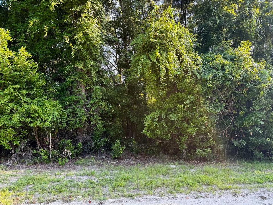 Под контрактом: $83,500 (6.23 acres)