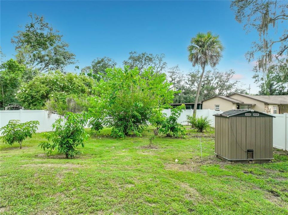 For Sale: $335,000 (3 beds, 2 baths, 1447 Square Feet)