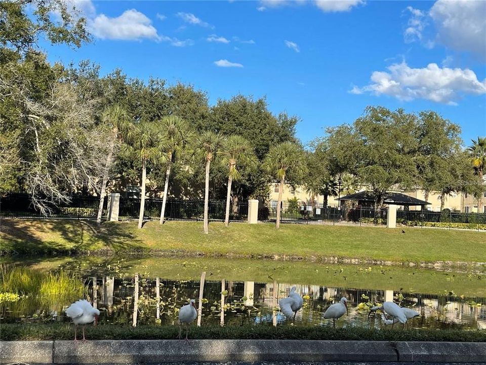For Rent: $1,750 (2 beds, 2 baths, 962 Square Feet)