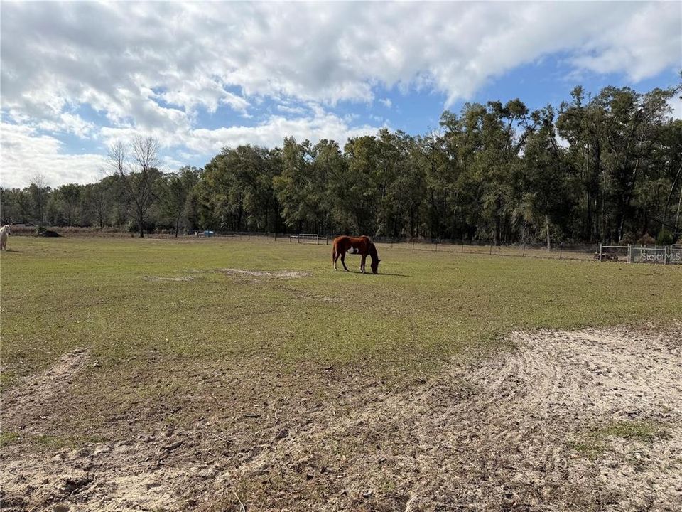 For Sale: $260,000 (10.05 acres)