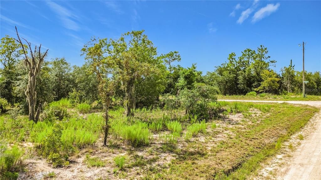 待售: $29,000 (1.25 acres)