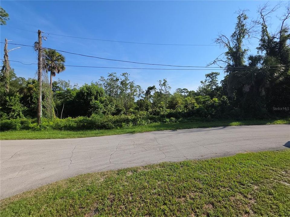 На продажу: $39,000 (0.34 acres)